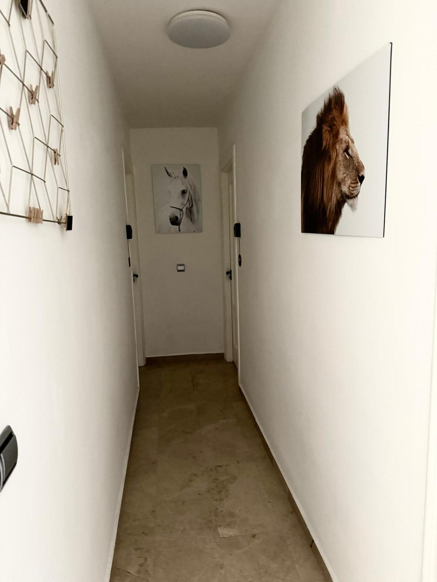 Alojamiento Bruckner Málaga Dış mekan fotoğraf